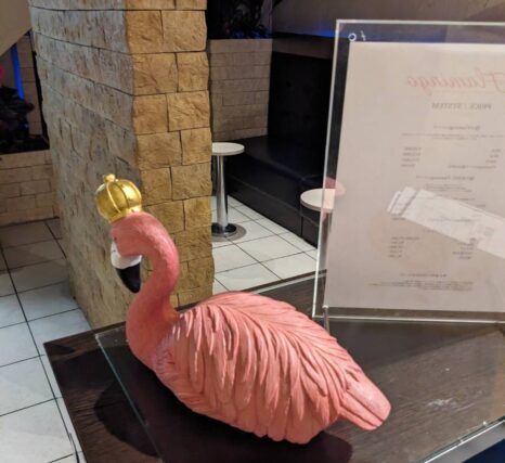 Flamingo フラミンゴの求人
